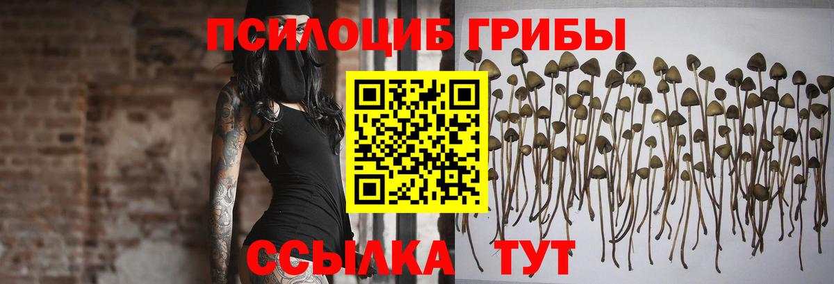 Галлюциногенные грибы Cubensis  Вход с VPN  Советский  Псилоцибиновые грибы Psilocybe 