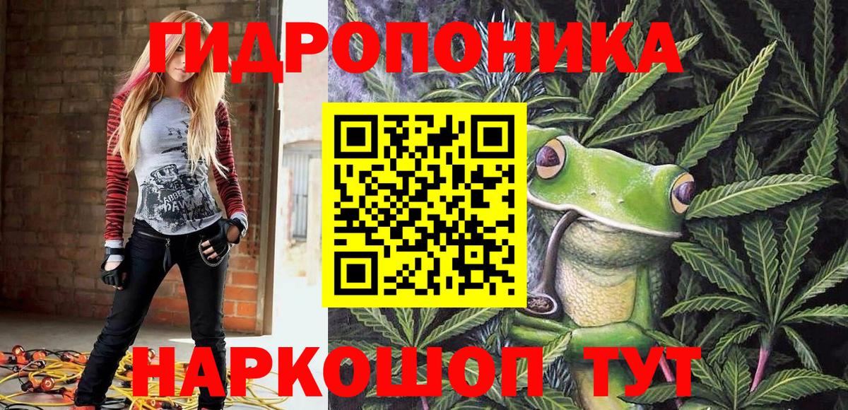 Каннабис конопля Советский